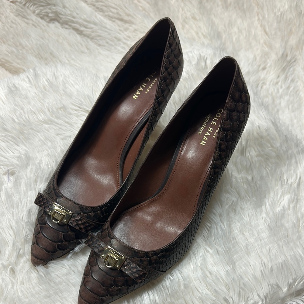 Cole Haan Brown Leather Heels with Classic Pointed Toe